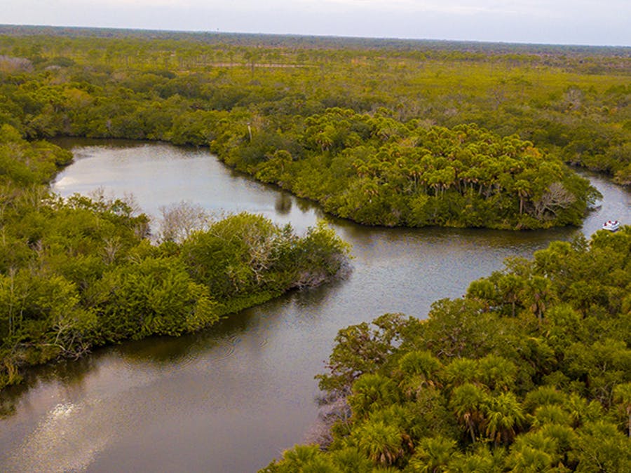 aerial view of property